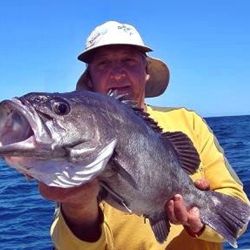 La temporada recién empieza y ya dejó señales contundentes: Mar del Plata está viviendo un arranque excepcional, con trofeos más cerca que nunca y cardúmenes firmes en toda la zona de pesca. 