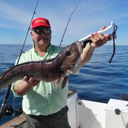 La temporada recién empieza y ya dejó señales contundentes: Mar del Plata está viviendo un arranque excepcional, con trofeos más cerca que nunca y cardúmenes firmes en toda la zona de pesca. 