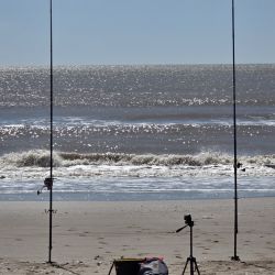 San Clemente del Tuyú combina tradición, diversidad y comodidad. La posibilidad de obtener buenas capturas desde la playa, el muelle o embarcados lo convierte en un destino ideal tanto para pescadores experimentados como para quienes recién se inician.