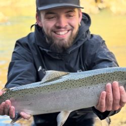 Alicurá, como cada año, vuelve a ser uno de los destinos estrella: truchas grandes, escenarios amplios y la sensación, siempre presente, de que en cualquier tiro puede aparecer la captura de la temporada.