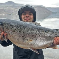 Alicurá, como cada año, vuelve a ser uno de los destinos estrella: truchas grandes, escenarios amplios y la sensación, siempre presente, de que en cualquier tiro puede aparecer la captura de la temporada.