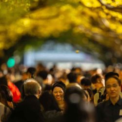 Personas caminan bajo los árboles de ginkgo con colores otoñales en el Jardín Exterior del Santuario Meiji en Tokio. Foto de Philip FONG / AFP | Foto:AFP