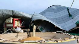 17-11-2025 Etruria Córdoba temporal cerealera