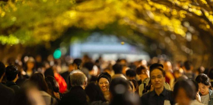 Personas caminan bajo los árboles de ginkgo con colores otoñales en el Jardín Exterior del Santuario Meiji en Tokio. Foto de Philip FONG / AFP
