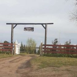 El guía Damario visitó laguna Las Barrancas el último fin de semana y confirmó lo que muchos intuían: la lisa regresó con fuerza y está respondiendo muy bien.