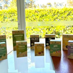 BioMamboretá: cuando ‘ecológico’ no es marketing sino impacto real | Foto:CONTENTNOTICIAS