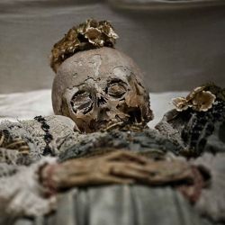 Una momia francesa llamada 'Joven de Estrasburgo' se muestra durante la visita de prensa de "Momias", una exposición en el Museo del Hombre en París. Foto de JULIEN DE ROSA / AFP | Foto:AFP