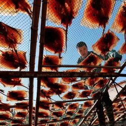 Un hombre seca rayas en Lianyungang, provincia de Jiangsu, este de China. Foto de AFP  | Foto:AFP