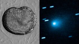 Cometa 31 Atlas 18112025