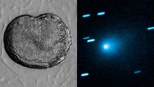 Cometa 31 Atlas 18112025