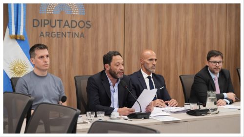 Última reunión de la Comisión Investigadora de $LIBRA.
