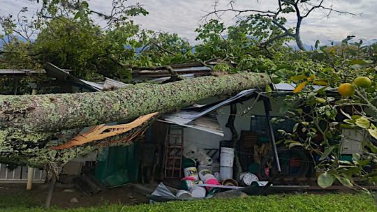 Comodoro de Rivadavia temporal 20251118