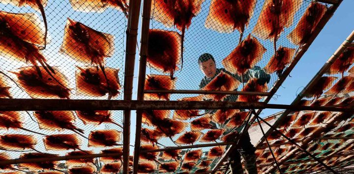 Un hombre seca rayas en Lianyungang, provincia de Jiangsu, este de China. Foto de AFP 