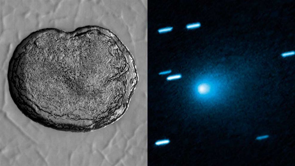 Cometa 31 Atlas 18112025