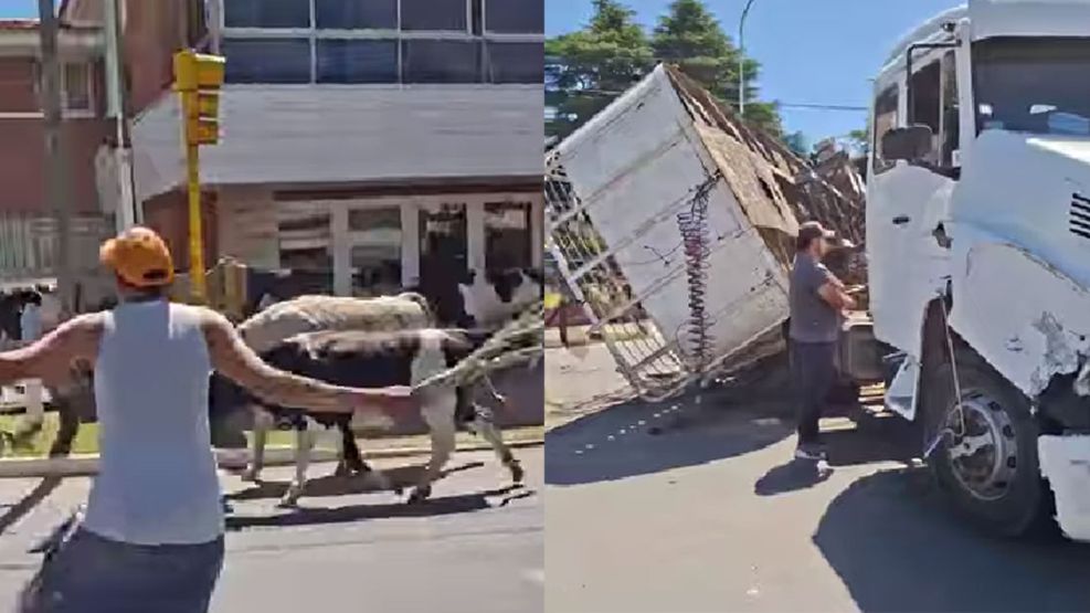 Volcó un camión jaula en Villa Giardino 18112025
