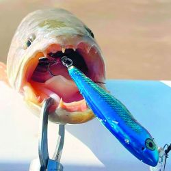 En tu revista Weekend de diciembre pescamos, paseamos y disfrutamos del tiempo lindo.