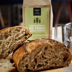 Fincas El Paraíso: Harinas a medida y acompañamiento para productores | Foto:CONTENTNOTICIAS