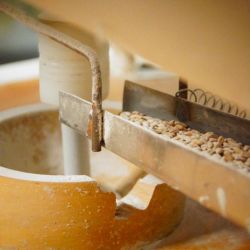 Fincas El Paraíso: Harinas a medida y acompañamiento para productores | Foto:CONTENTNOTICIAS