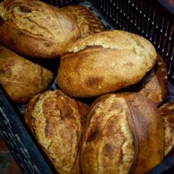 Fincas El Paraíso: Harinas a medida y acompañamiento para productores | Foto:CONTENTNOTICIAS