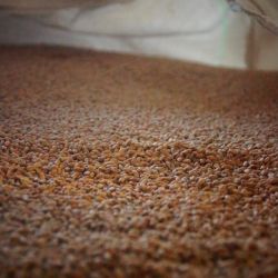 Fincas El Paraíso: Harinas a medida y acompañamiento para productores | Foto:CONTENTNOTICIAS