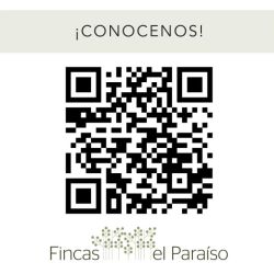 Fincas El Paraíso: Harinas a medida y acompañamiento para productores | Foto:CONTENTNOTICIAS