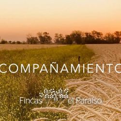 Fincas El Paraíso: Harinas a medida y acompañamiento para productores | Foto:CONTENTNOTICIAS