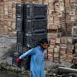 Un trabajador carga cajas de plástico en un mercado de frutas y verduras en Karachi. Foto de Rizwan TABASSUM / AFP | Foto:AFP