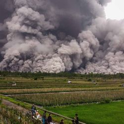 Una imagen aérea muestra un flujo piroclástico durante la erupción del Monte Semeru en Lumajang, Java Oriental. Foto de Agus Harianto / AFP | Foto:AFP