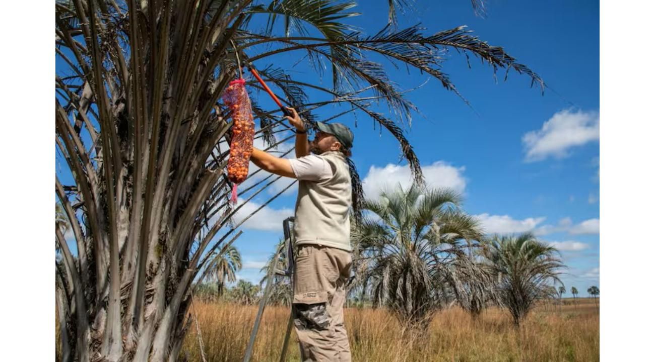 Licores Bard, tradición regional y sabores autóctonos