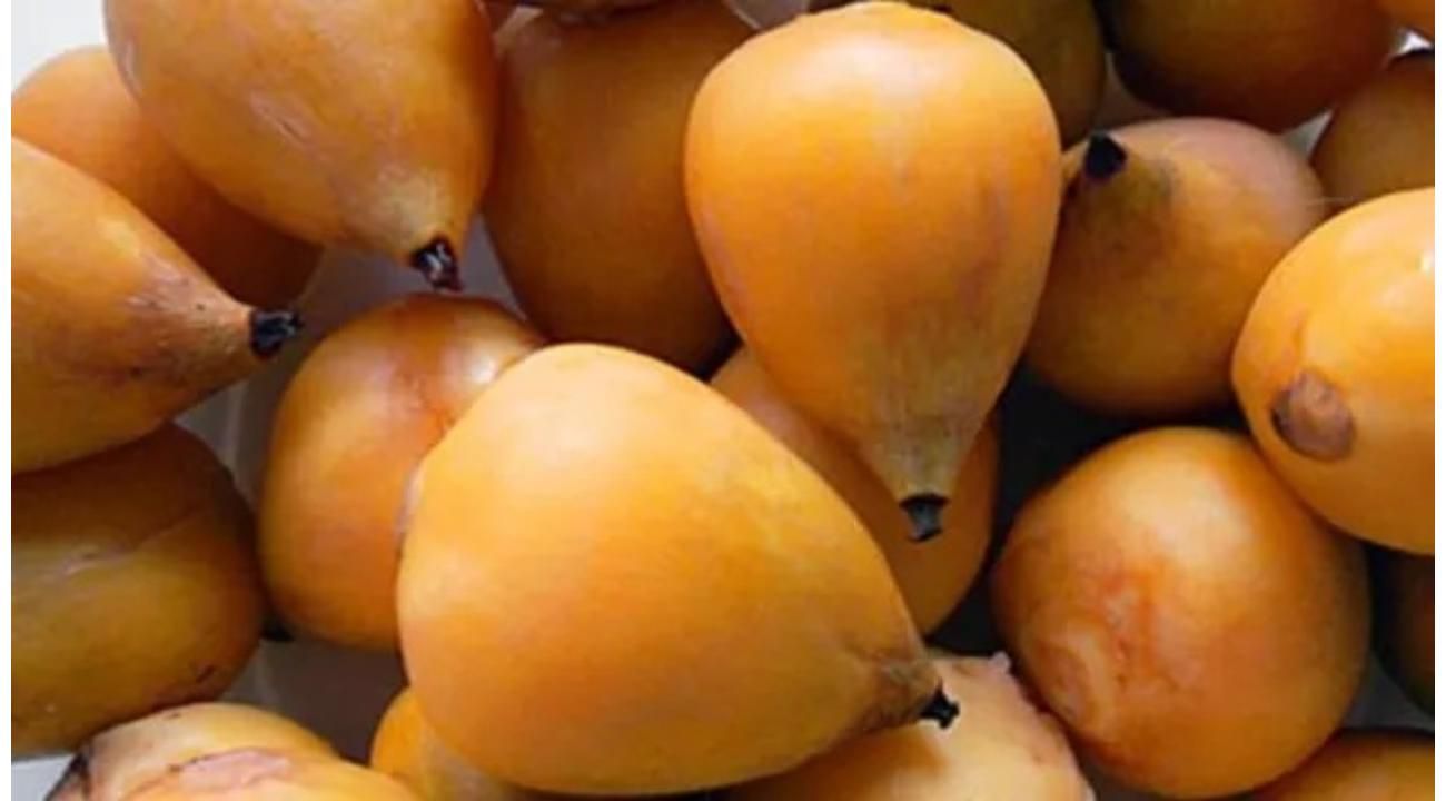 Licores Bard, tradición regional y sabores autóctonos