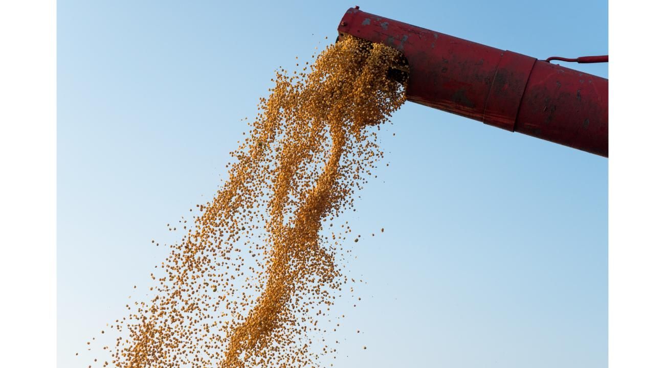 SOYAr consolida el crecimiento de su coadyuvante órgano-siliconado en plena campaña de siembra