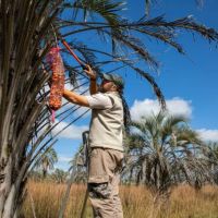 Licores Bard, tradición regional y sabores autóctonos