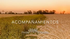 Fincas El Paraíso: Harinas a medida y acompañamiento para productores
