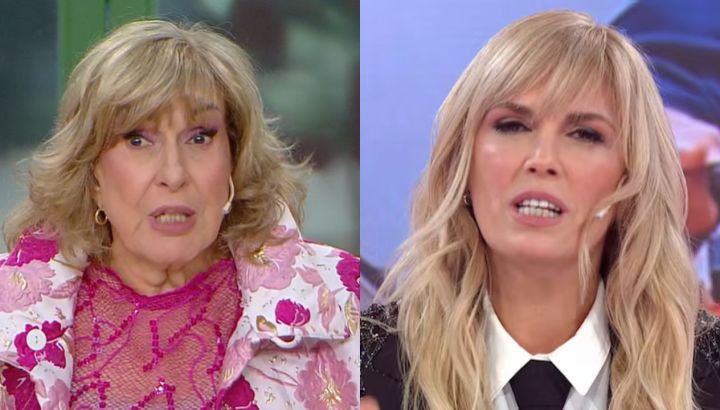 Georgina Barbarossa destrozó a Viviana Canosa tras denunciar a Fabiola Yañez: "Vos ensuciaste a medio planeta"