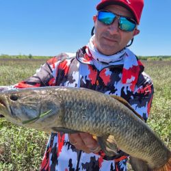 A casi un mes del inicio del verano, el mar es una de las principales atracciones del pescador. También el sur suma adeptos con la temporada truchera.
