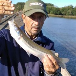 A casi un mes del inicio del verano, el mar es una de las principales atracciones del pescador. También el sur suma adeptos con la temporada truchera.