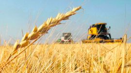 Crecimiento en económico en "K": cuáles son los ganadores y perdedores del modelo Milei