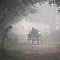 Un hombre empuja su carrito de tres ruedas mientras avanza por un camino en una mañana de invierno con smog en Nueva Delhi. Foto de Arun SANKAR / AFP | Foto:AFP