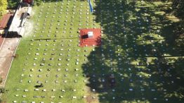 Gendarmería decomisó más de 9 toneladas de droga en Misiones 20251121