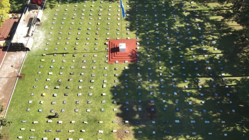 Operativo récord: secuestran casi diez toneladas de marihuana ocultas en un camión - Image 1