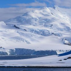 Excursiones a la Antártida.