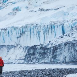 Excursiones a la Antártida.
