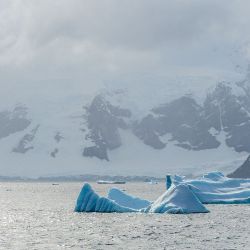 Excursiones a la Antártida.