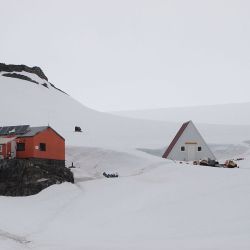 Excursiones a la Antártida.