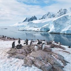 Excursiones a la Antártida.