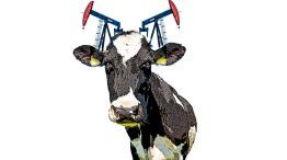 231125_vaca_muerta_temes_g