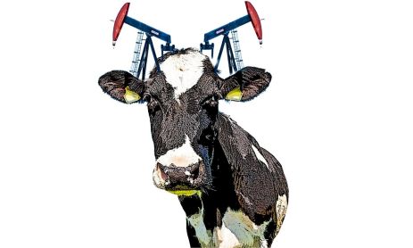 231125_vaca_muerta_temes_g