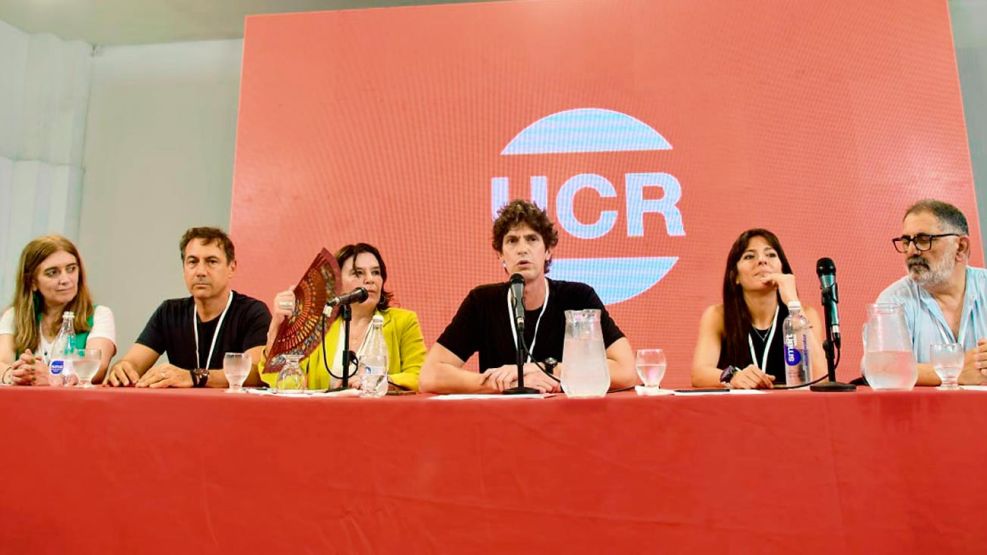 La UCR en un momento crítico: peleas, divisiones y el futuro del partido en jaque - Image 2