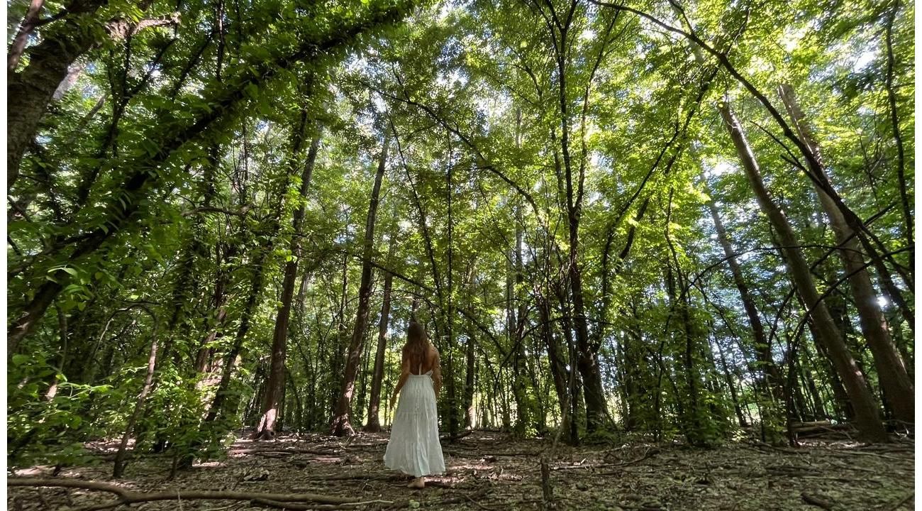 La raíz humana que se debilita en la prisa moderna