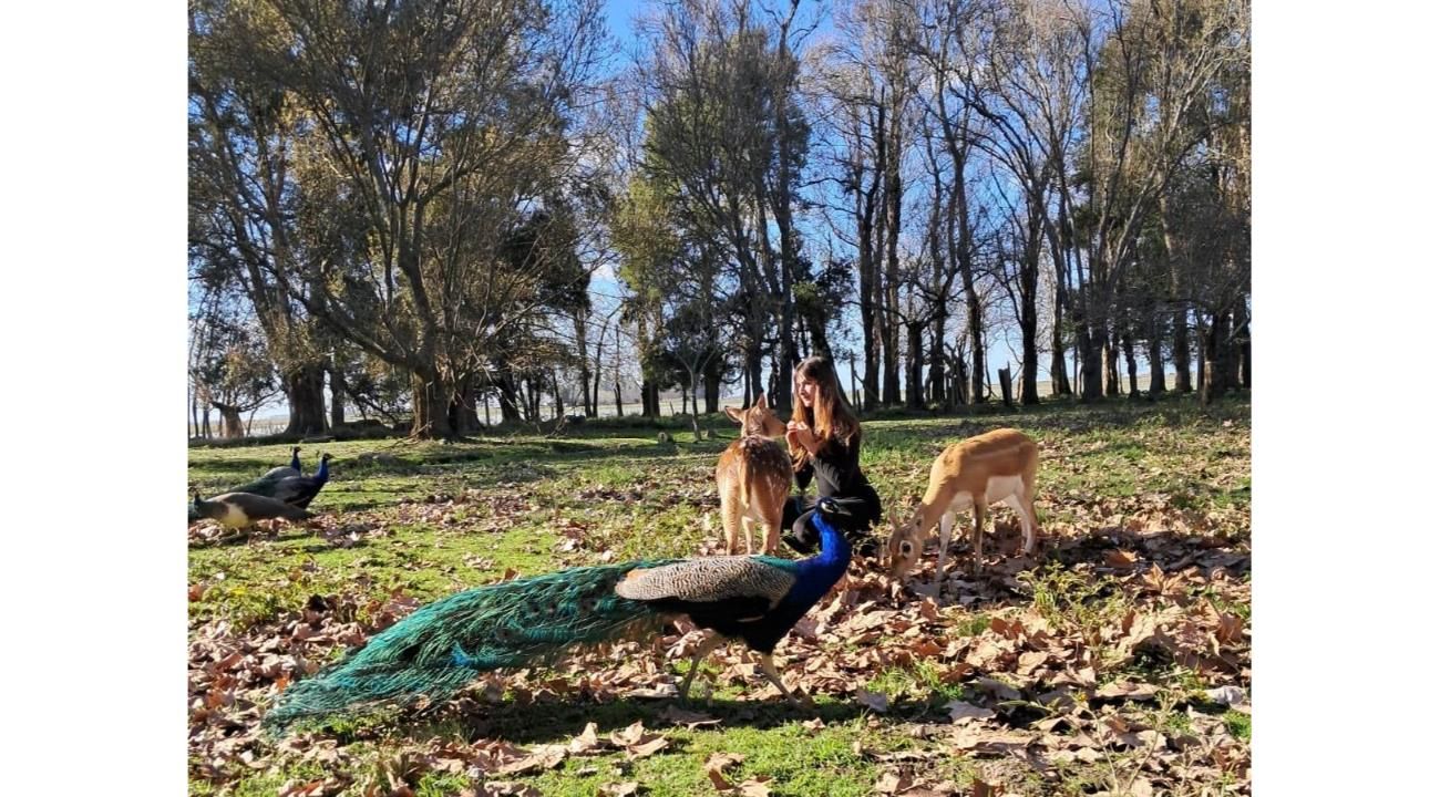 La raíz humana que se debilita en la prisa moderna